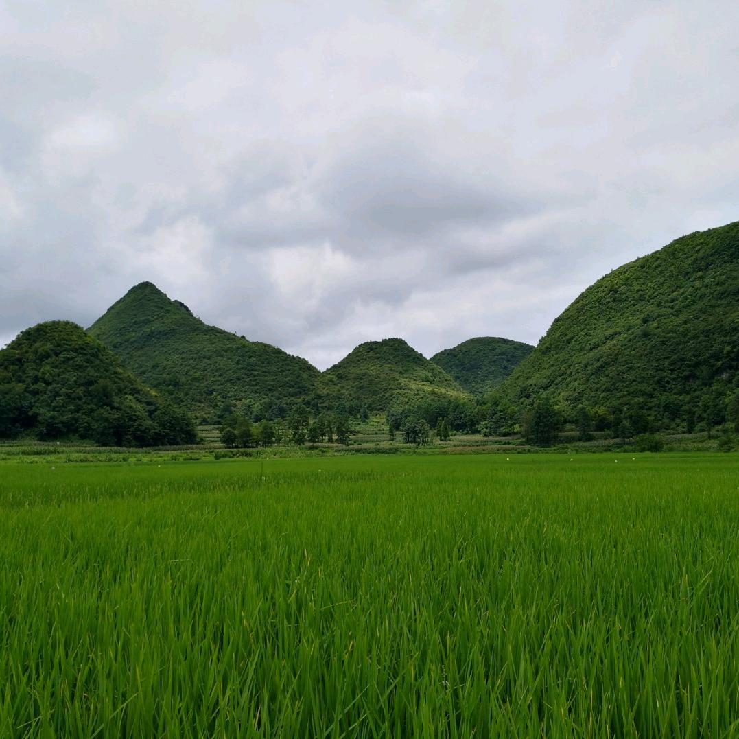 草原上的骑士