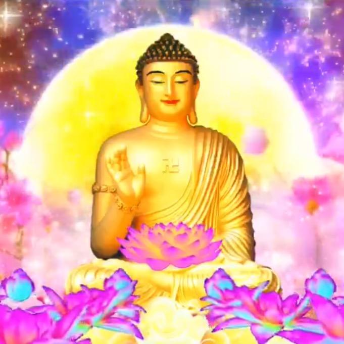 般若心莲🙏🙏🙏卍