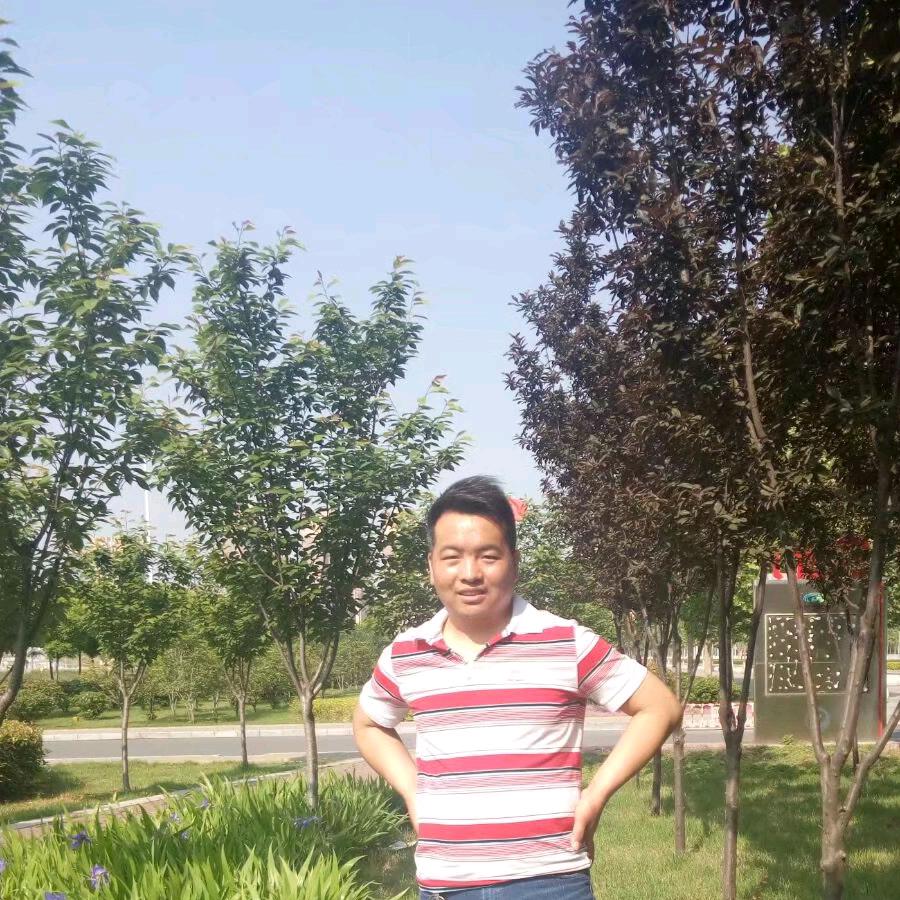 人杰地灵，焦作市张记特色烩面王