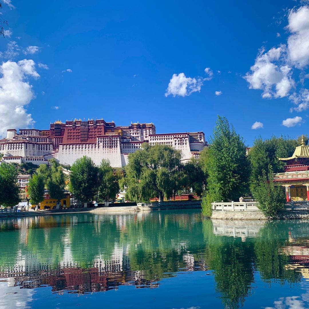 闲闲