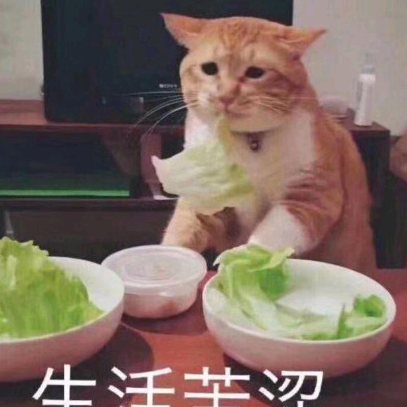 声漫漫工艺品