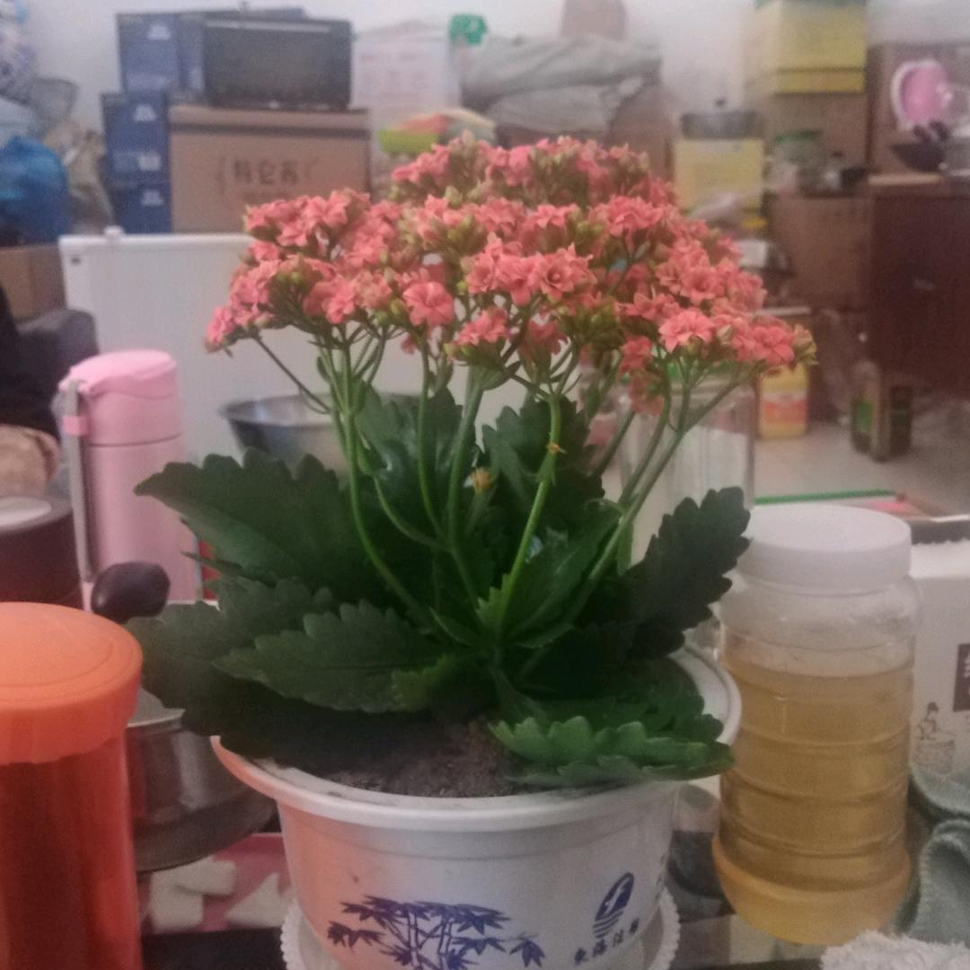 奋斗不息的70后（陕西蒲城）