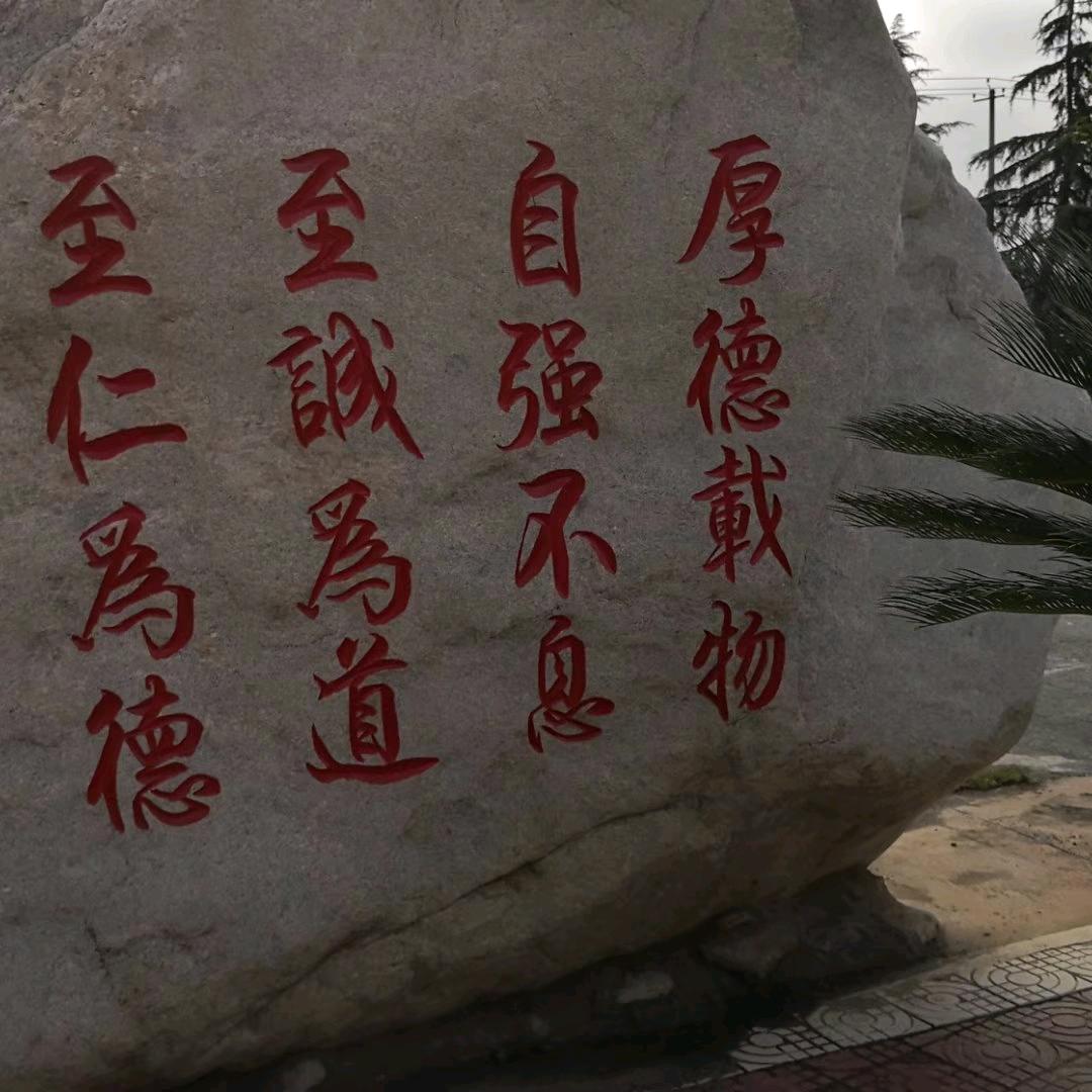 一路阳光