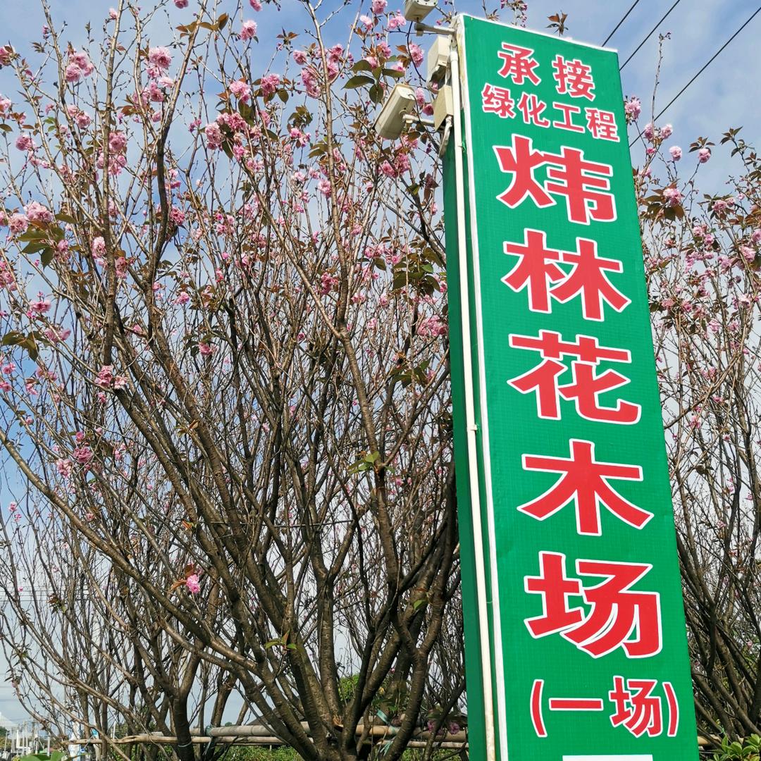 炜林园林