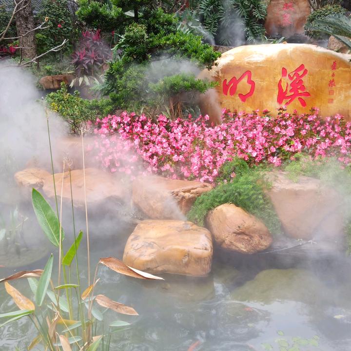 负甲天下