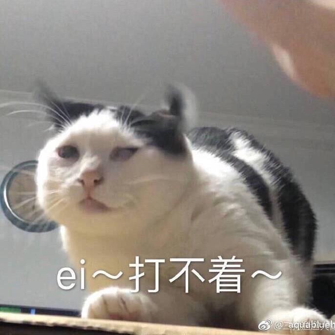 孟大猫