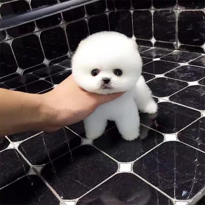 昱墨🪵