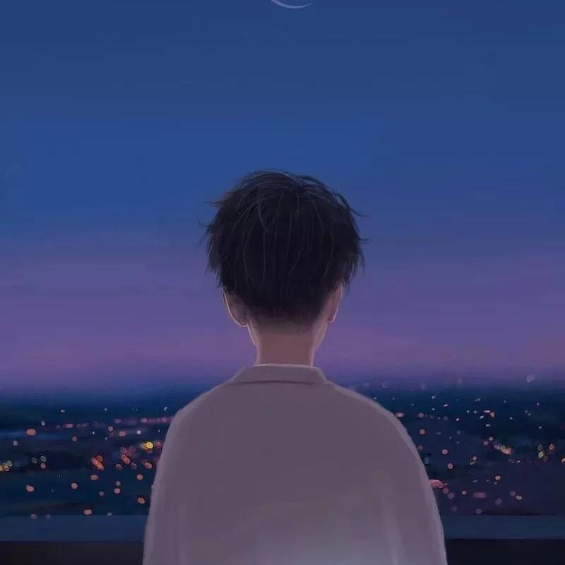 是苏辰了呀