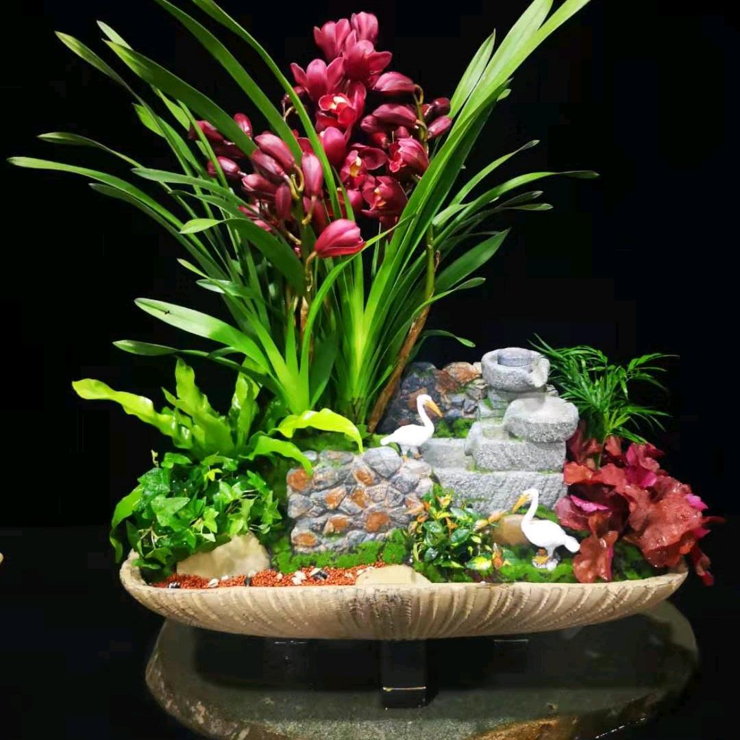 小杭家鲜花园艺
