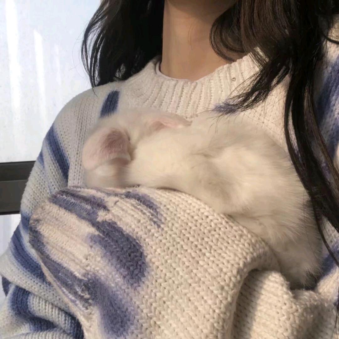 好好睡觉～