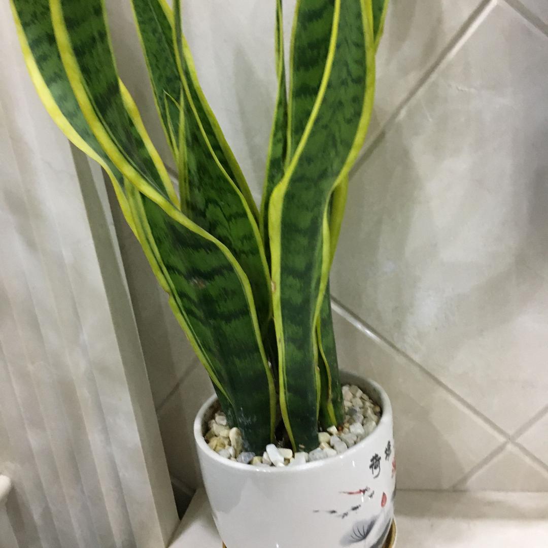从心开始