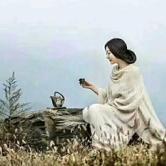 清静淡雅