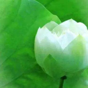 671708104453以善为本