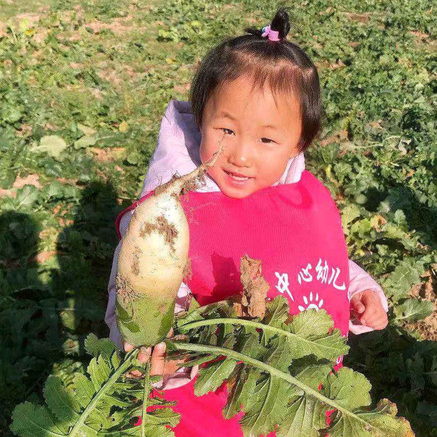 吴涛💞西瓜代发