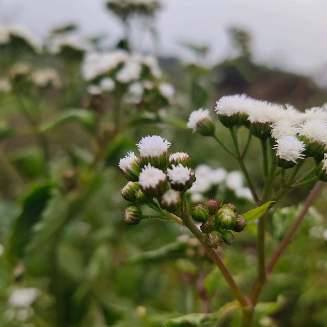 风雨过后