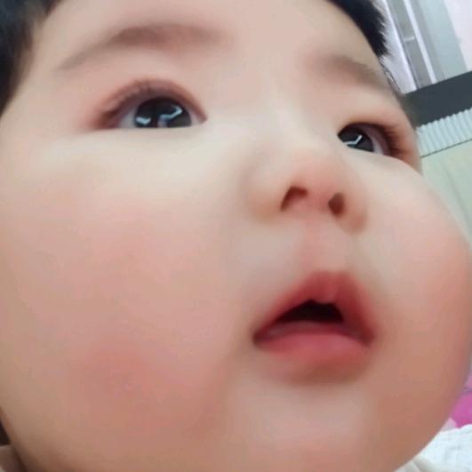 君子兰