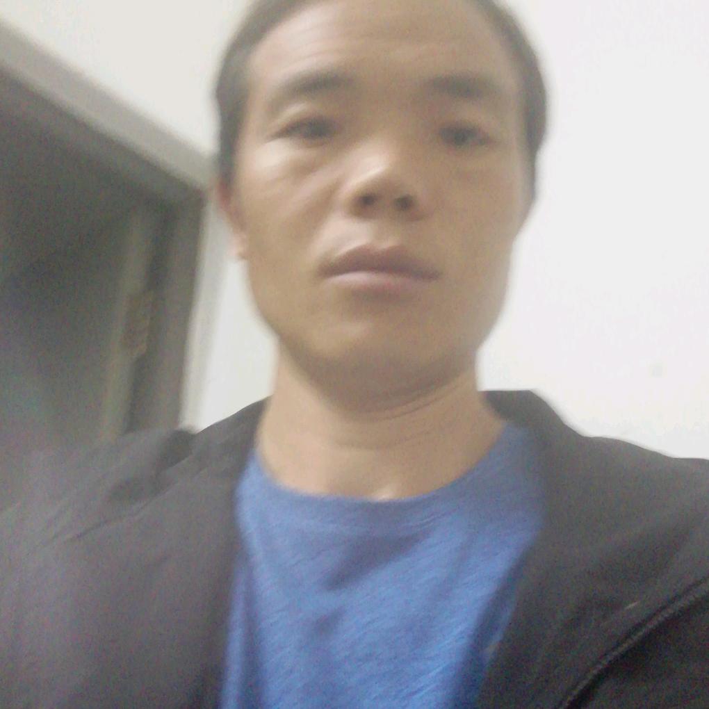 龙毅