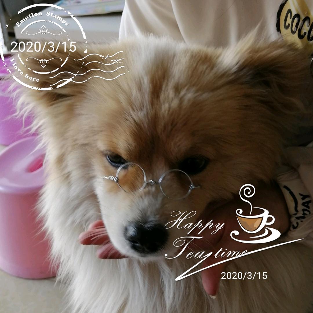 叫我小咪喳哦😋😜😘🐷