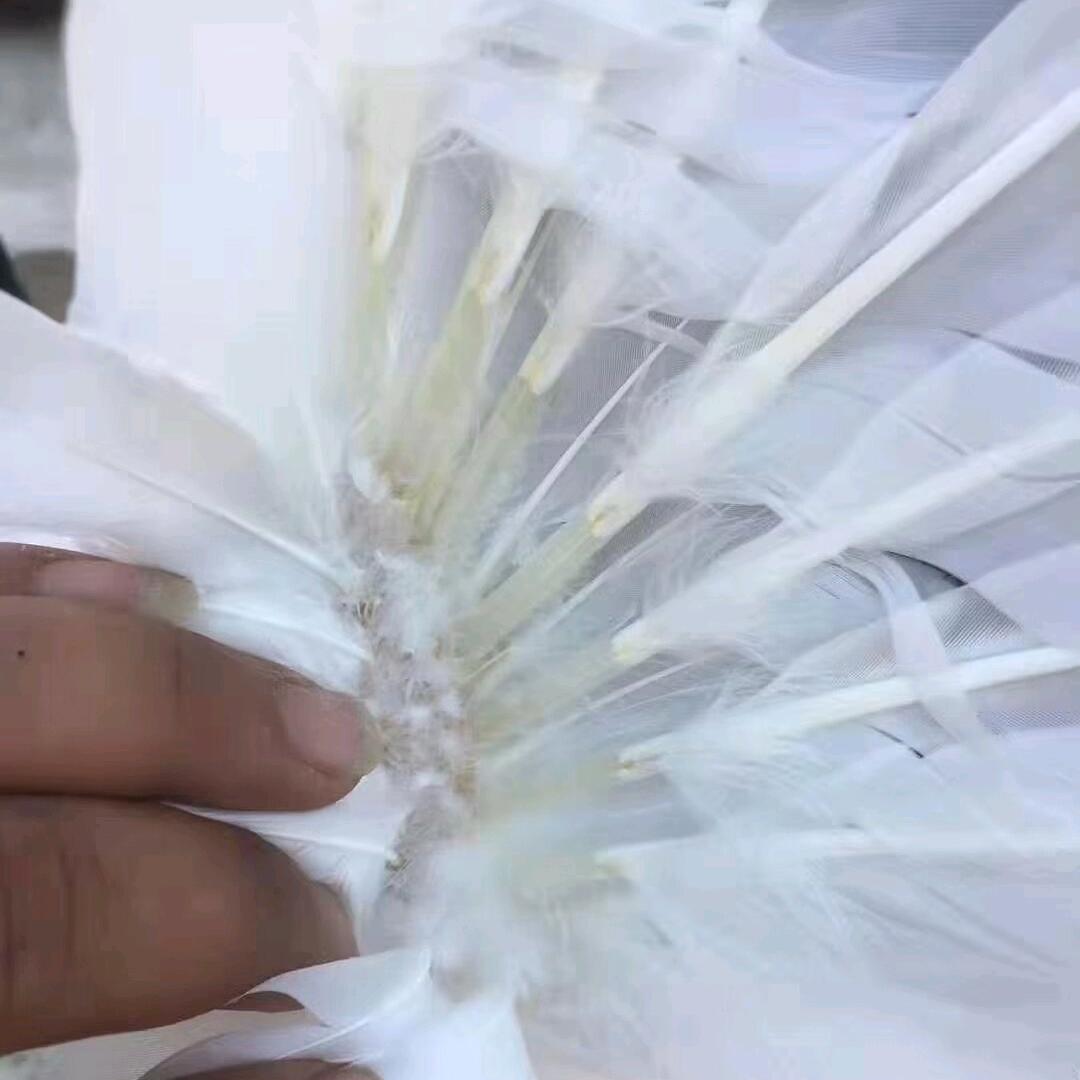 神雄