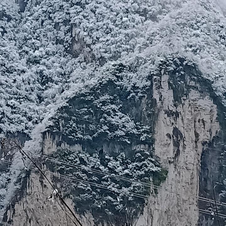 浪子
