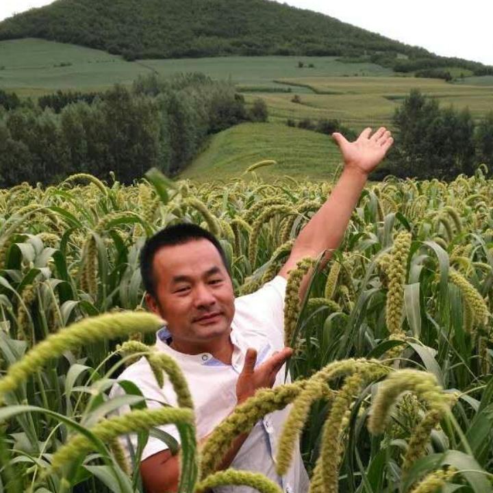 小米哥高学民
