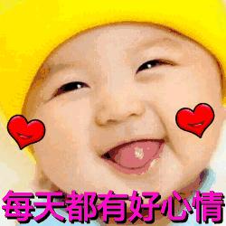 botree 缘.悟