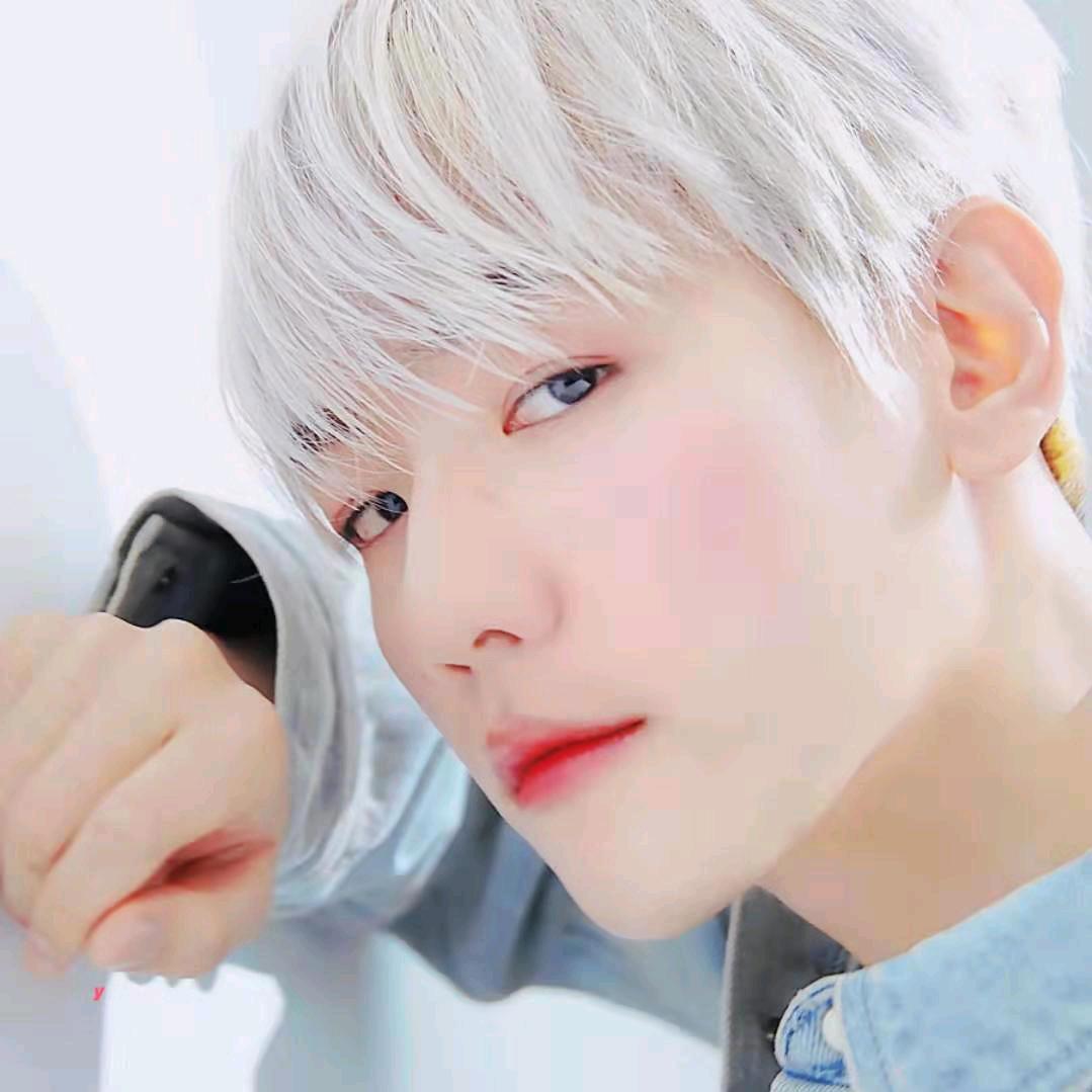 心宇bbh