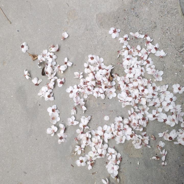 珏玉