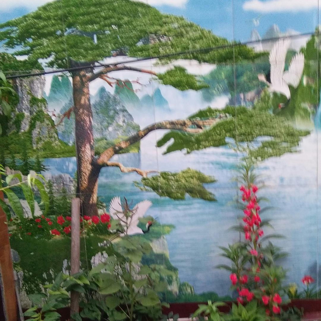 巴黎夜空飘落的雪