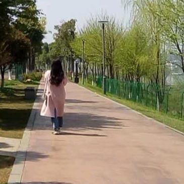 @🍀丁*琴✨✨