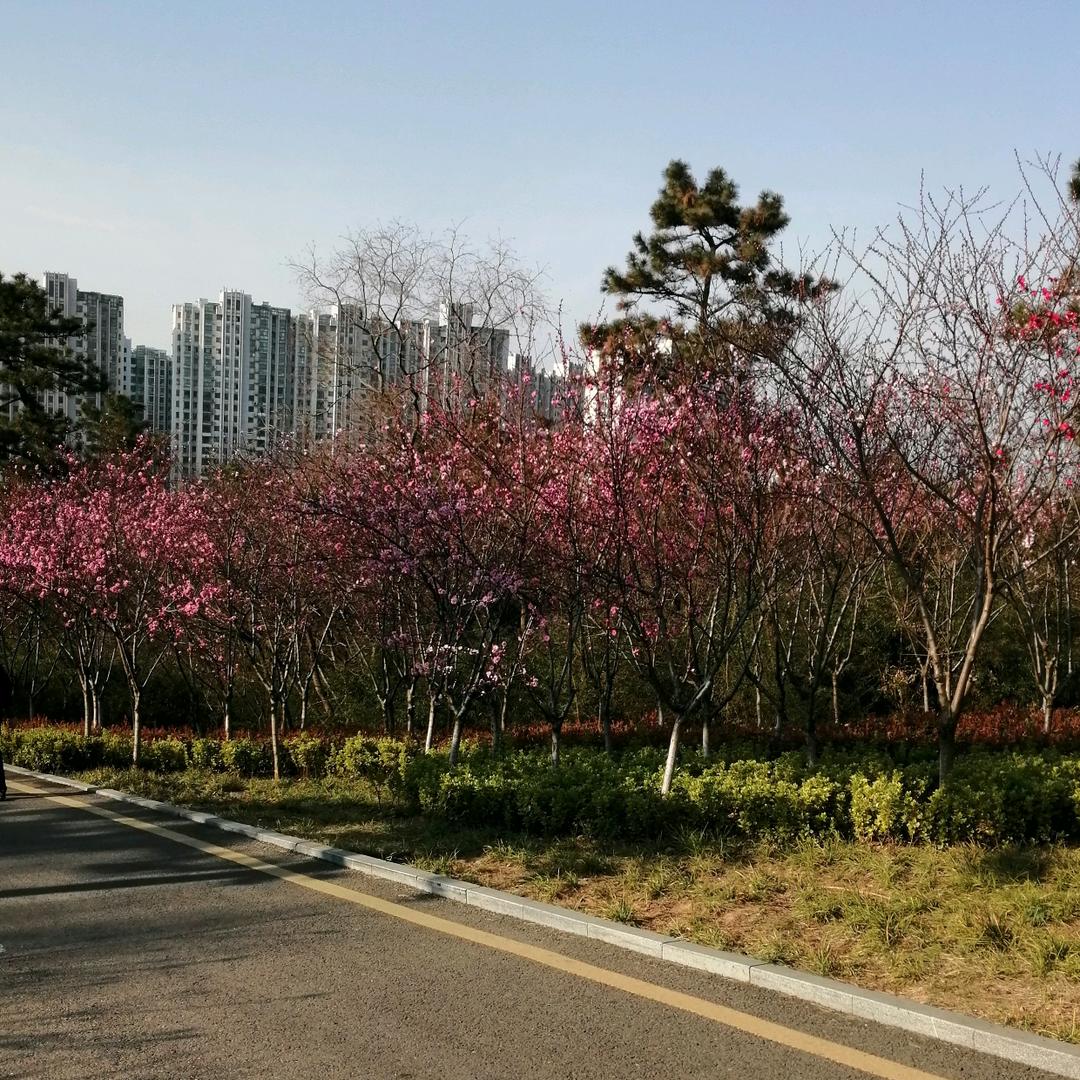 桂林山水