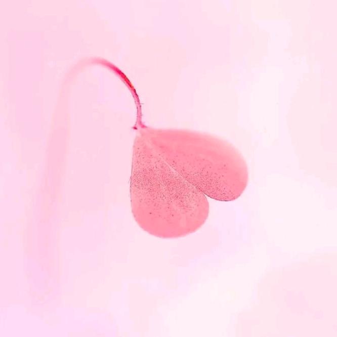 阳光总在风雨后🍀