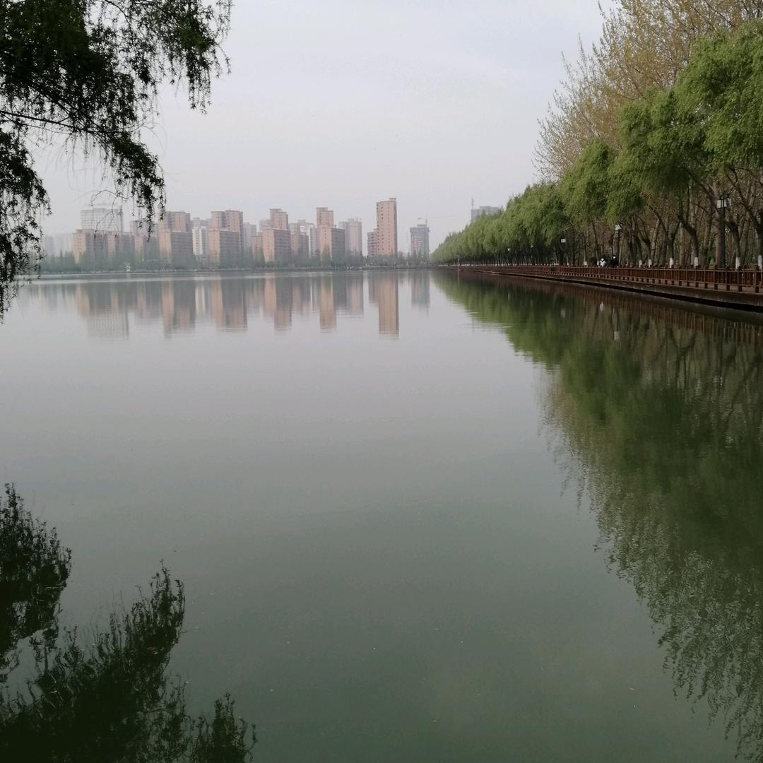 @路在脚下（73年的牛🐮）🔥