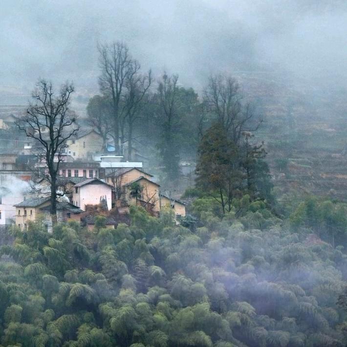 晨