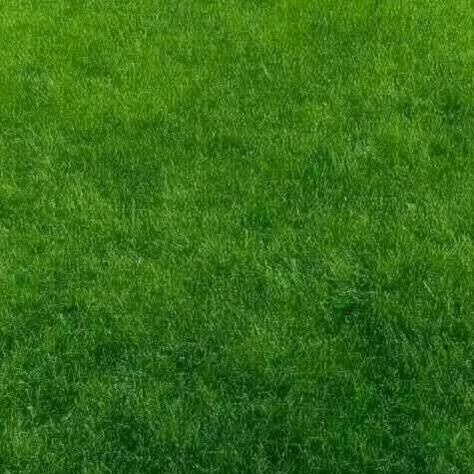 健康就是福