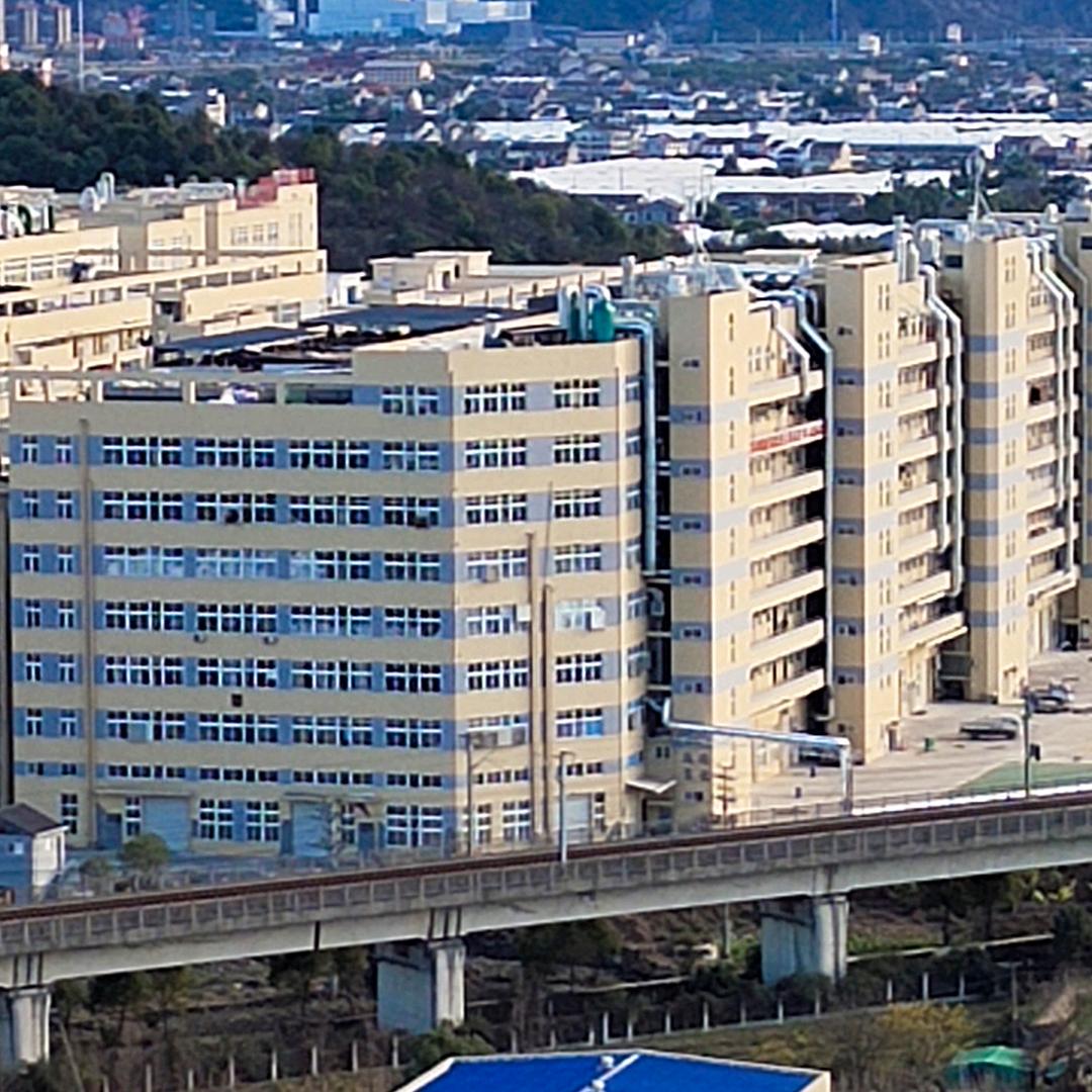 理想，陈