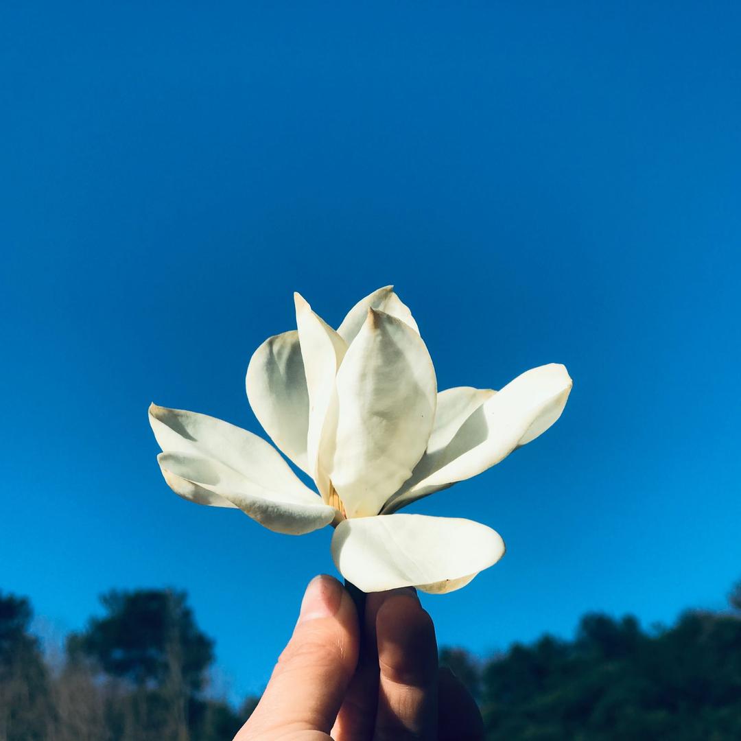 阳光首府玺苑～小燕