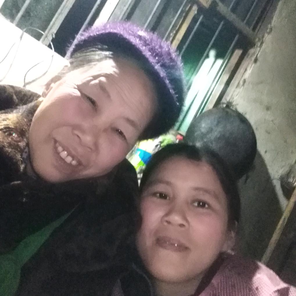 杨，
