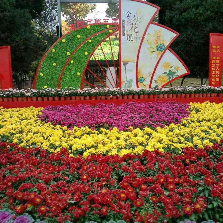 大干一场！！