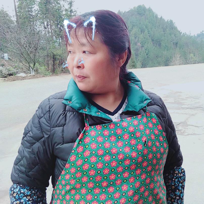 芶妈妈的日常生活
