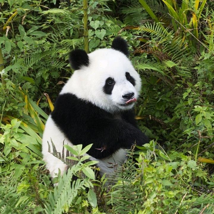 犀浦驾校报名培训教练