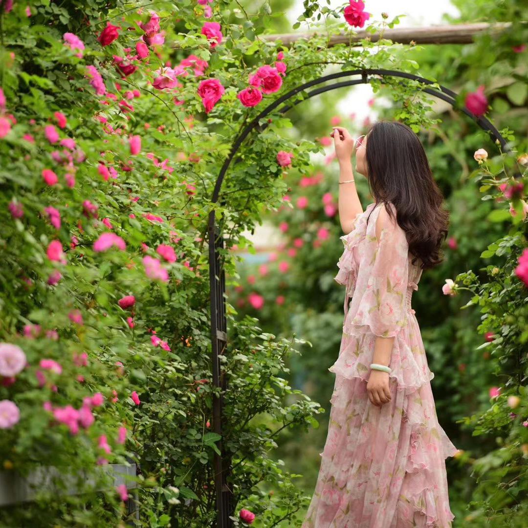 妙迎花卉