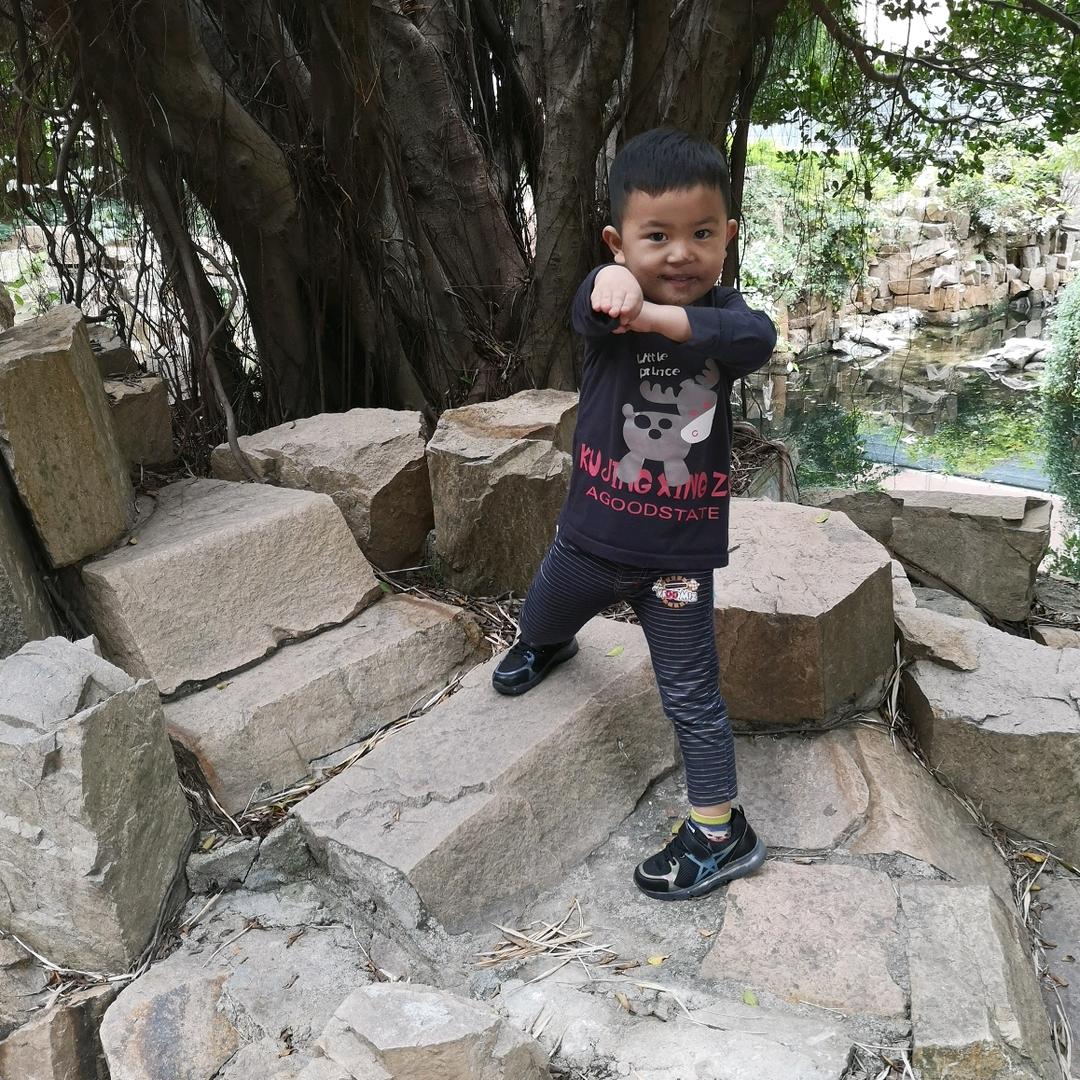 谢小武