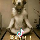 そ道友请留步ひ