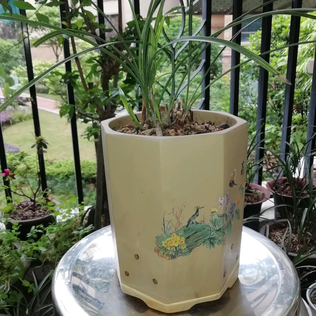 永不止步醉红尘liang