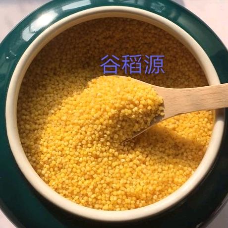 zhenmaiyixiu