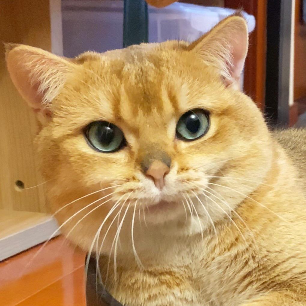 四月爱美丽@抖音