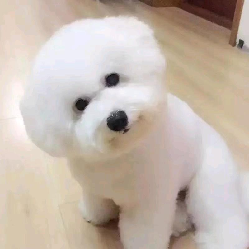 不知道叫什么了😪