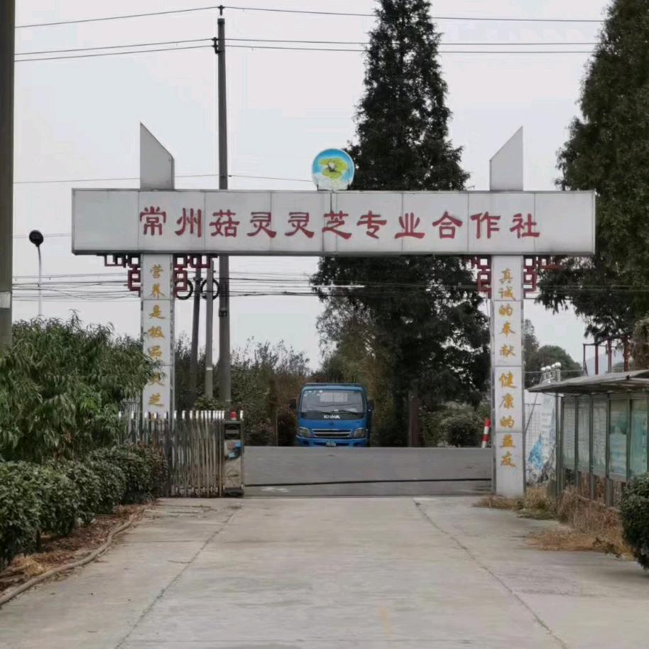 常州菇灵灵芝专业合作社