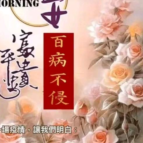 装饰美好家园